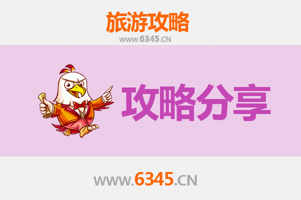 忻州定襄至湄洲岛旅游攻略：跟团还是自由行选择指南